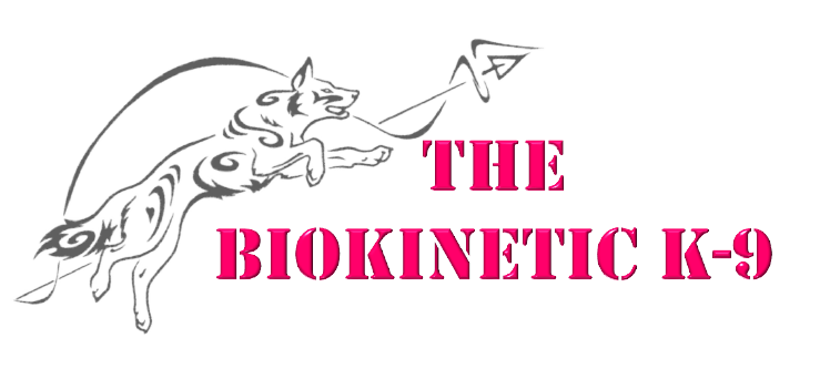 BK9Logo-removebg BK9 Logo