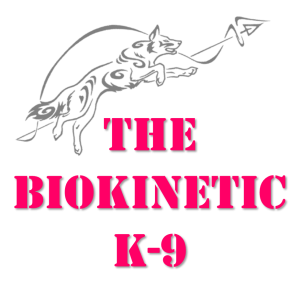 BK9-Square-logo